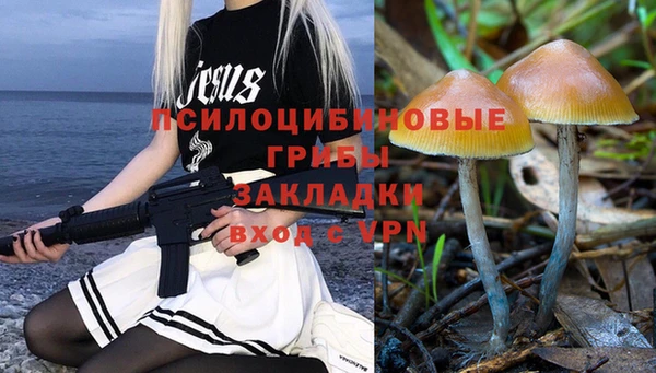 твердый Бронницы